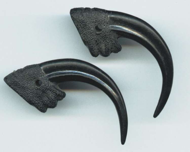 Faux Eagle Claws with Loop for Stringing or Anchoring into Place